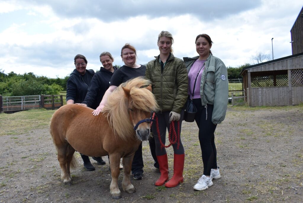 Etc. staff with a pony standing in a yard as part of a volunteer day.